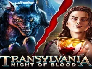 Transylvania Night Of Blood game thumbnail