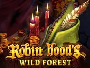 Robin Hoods Wild Forest game thumbnail